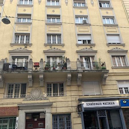 Cool Cat Budapest Apartment Exterior photo