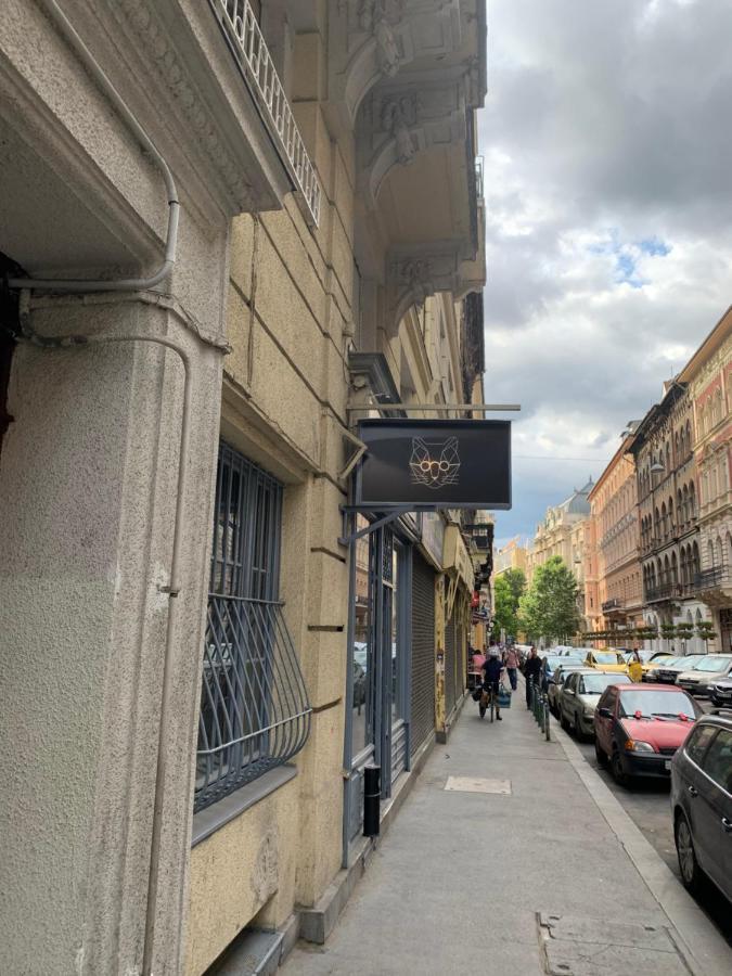 Cool Cat Budapest Apartment Exterior photo